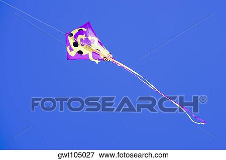 Stock Photo - Low angle view of a kite in the sky, Miami, Florida, USA. Fotosearch