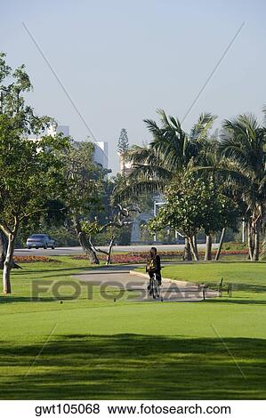 Rear view of a person cycling in a park, Miami, Florida, USA View Large Photo Image Stock Photo - Rear view of a person cycling in a park, Miami, Florida, USA. Fotosearch