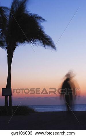 Stock Image - Silhouette of a person walking on the beach, Miami, Florida, USA. Fotosearch