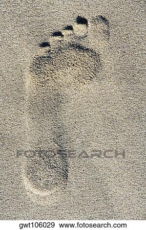 Close-up of a footprint in sand, Miami, Florida, USA View Large Photo Image Stock Photo - Close-up of a footprint in sand, Miami, Florida, USA. Fotosearch