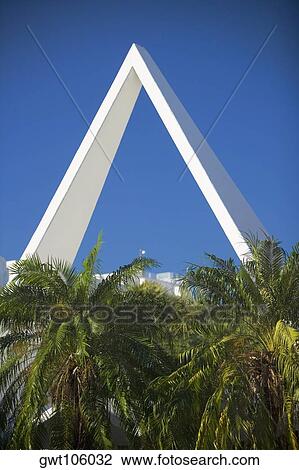 Close-up of palm trees in front of buildings, Miami, Florida, USA View Large Photo Image Stock Image - Close-up of palm trees in front of buildings, Miami, Florida, USA. Fotosearch