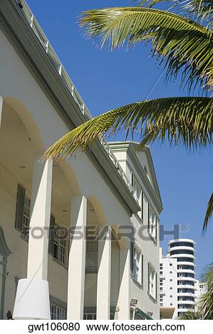 Stock Image - Low angle view of a palm tree in front of a building, Miami, Florida, USA. Fotosearch