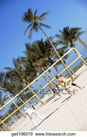 Low angle view of person's playing on the beach, South Beach, Miami, Florida, USA View Large Photo Image Stock Photo - Low angle view of person's playing on the beach, South Beach, Miami, Florida, USA. Fotosearch