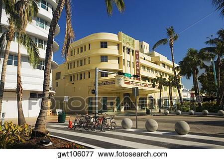 Palm trees in front of a building, Miami, Florida, USA View Large Photo Image Stock Photo - Palm trees in front of a building, Miami, Florida, USA. Fotosearch
