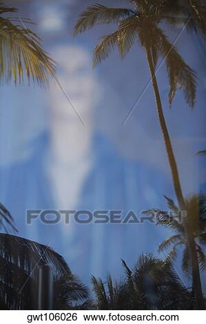 Stock Photograph - Reflection of palm trees in a store window, Miami, Florida, USA. Fotosearch