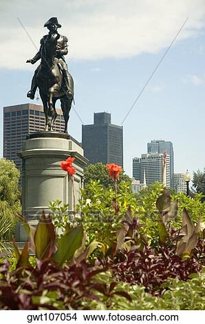 Low angle view of a statue in the garden, Boston, Massachusetts, USA View Large Photo Image Picture - Low angle view of a statue in the garden, Boston, Massachusetts, USA. Fotosearch