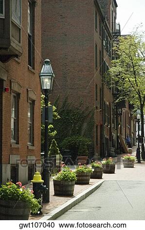 Potted plants in front of a building, Boston, Massachusetts, USA View Large Photo Image Stock Image - Potted plants in front of a building, Boston, Massachusetts, USA. Fotosearch