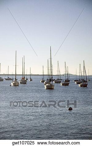 Sailboats anchored in the sea, Boston, Massachusetts, USA View Large Photo Image Stock Photography - Sailboats anchored in the sea, Boston, Massachusetts, USA. Fotosearch