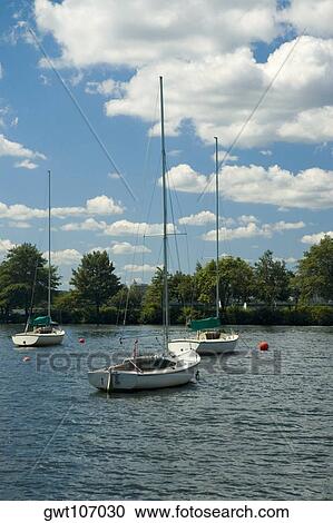 Sailboats moored in the river, Boston, Massachusetts, USA View Large Photo Image Stock Image - Sailboats moored in the river, Boston, Massachusetts, USA. Fotosearch