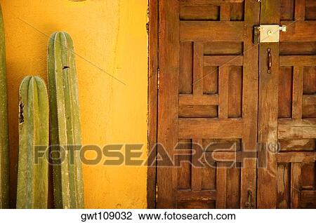 Close-up of cactus near a door, Mexico View Large Photo Image Stock Image - Close-up of cactus near a door, Mexico. Fotosearch