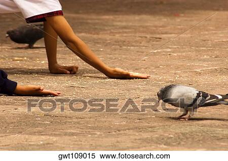 Close-up of two people feeding a pigeon View Large Photo Image Stock Photography - Close-up of two people feeding a pigeon. Fotosearch