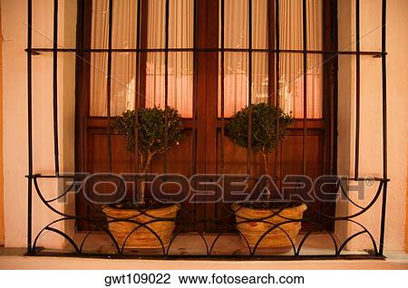 Stock Image - Close-up of two potted plants on a window sill, Mexico. Fotosearch
