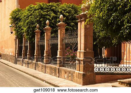 Trees in the courtyard of a building, Mexico View Large Photo Image Stock Photo - Trees in the courtyard of a building, Mexico. Fotosearch