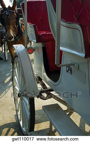 Close-up of a horse cart, New Orleans, Louisiana, USA View Large Photo Image Stock Photo - Close-up of a horse cart, New Orleans, Louisiana, USA. Fotosearch