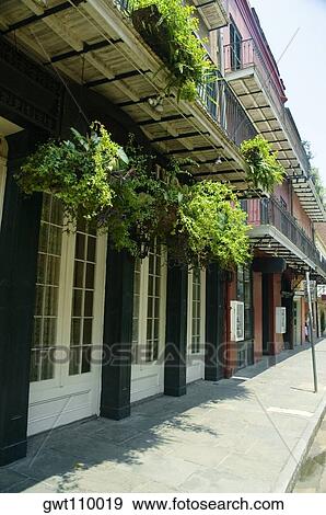 Stock Photo - Hanging baskets on a building, New Orleans, Louisiana, USA. Fotosearch