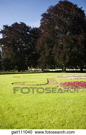 Flowers and trees in a garden, Czech Republic View Large Photo Image Stock Image - Flowers and trees in a garden, Czech Republic. Fotosearch