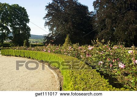 Flowers and trees in a garden, Czech Republic View Large Photo Image Stock Photo - Flowers and trees in a garden, Czech Republic. Fotosearch