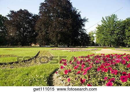 Stock Photography - Flowers and trees in a garden, Prague, Czech Republic. Fotosearch