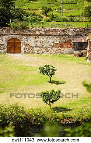 Stock Image - High angle view of trees on a field, Czech Republic. Fotosearch