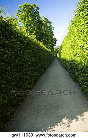 Plants along a walkway, Czech Republic View Large Photo Image Stock Photo - Plants along a walkway, Czech Republic. Fotosearch