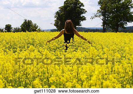 Rear view of a young woman standing in a field, Czech Republic View Large Photo Image Stock Photo - Rear view of a young woman standing in a field, Czech Republic. Fotosearch