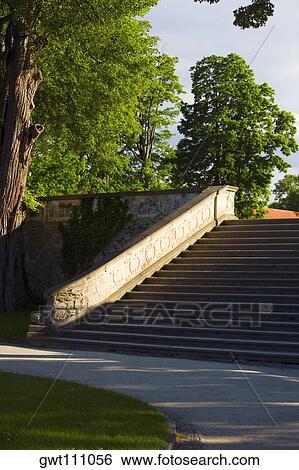 Tree near a staircase, Czech Republic View Large Photo Image Stock Photograph - Tree near a staircase, Czech Republic. Fotosearch