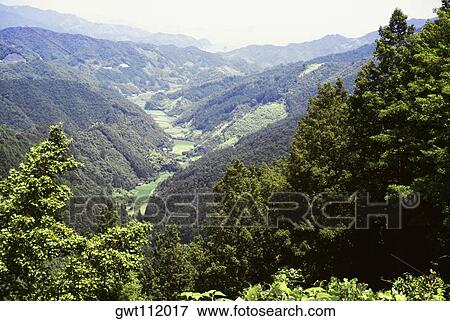Stock Photo - High angle view of a valley, Mountain Valley, Kochi, Shikoku, Japan. Fotosearch