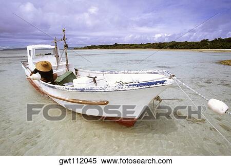 Seaweed Gatherer on a boat, Taketomi, Ryukyus, Japan View Large Photo Image Stock Photography - Seaweed Gatherer on a boat, Taketomi, Ryukyus, Japan. Fotosearch