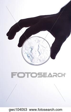 Close-up of a petri dish in a person's hand View Large Photo Image Stock Image - Close-up of a petri dish in a person's hand. Fotosearch