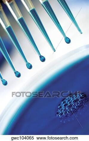 Close-up of specimen holders over a petri dish View Large Photo Image Stock Photography - Close-up of specimen holders over a petri dish. Fotosearch