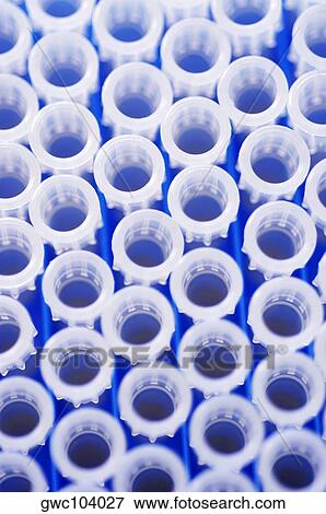 High angle view of a test tube rack View Large Photo Image Stock Photo - High angle view of a test tube rack. Fotosearch