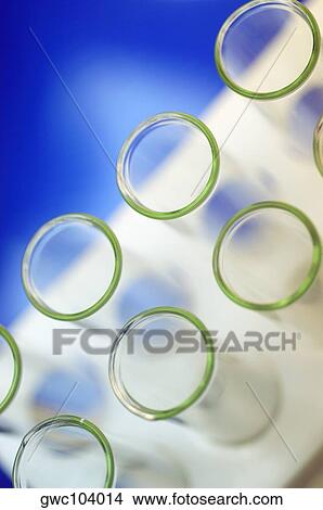 High angle view of a test tubes in a test tube rack View Large Photo Image Picture - High angle view of a test tubes in a test tube rack. Fotosearch