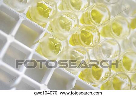 High angle view of test tubes in a rack View Large Photo Image Stock Image - High angle view of test tubes in a rack. Fotosearch
