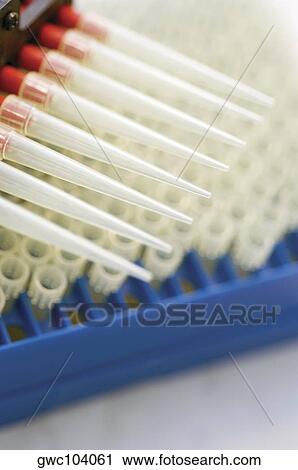 High angle view of vials in a rack View Large Photo Image Stock Image - High angle view of vials in a rack. Fotosearch