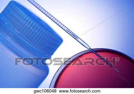 Close-up of a dropper over a petri dish View Large Photo Image Stock Photo - Close-up of a dropper over a petri dish. Fotosearch