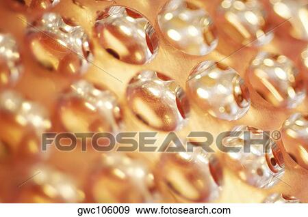 Close-up of a petri dish rack View Large Photo Image Stock Photo - Close-up of a petri dish rack. Fotosearch
