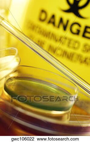 Close-up of a pipette and a petri dish View Large Photo Image Stock Image - Close-up of a pipette and a petri dish. Fotosearch