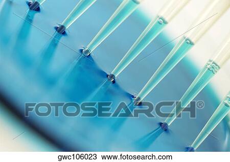 Close-up of a specimen holders View Large Photo Image Stock Image - Close-up of a specimen holders. Fotosearch