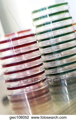Stock Image - Close-up of a stack of petri dishes. Fotosearch