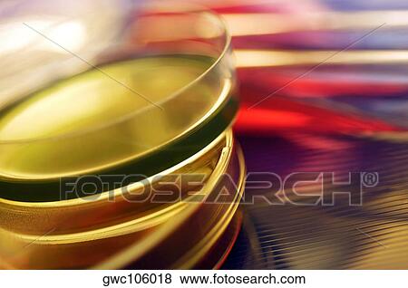 Stock Photo - Close-up of chemical in petri dishes. Fotosearch