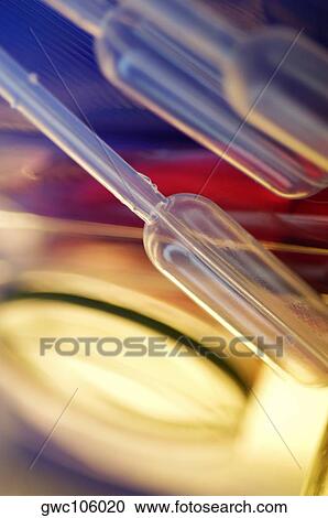 Close-up of droppers over a petri dish View Large Photo Image Stock Image - Close-up of droppers over a petri dish. Fotosearch