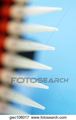 Close-up of specimen holders View Large Photo Image Stock Photo - Close-up of specimen holders. Fotosearch
