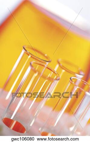 Close-up of test tubes in a test tube rack View Large Photo Image Stock Image - Close-up of test tubes in a test tube rack. Fotosearch