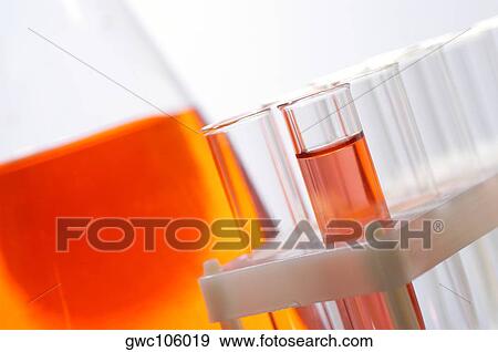 Close-up of test tubes in a test tube rack View Large Photo Image Stock Photo - Close-up of test tubes in a test tube rack. Fotosearch