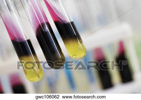Close-up of test tubes View Large Photo Image Stock Image - Close-up of test tubes. Fotosearch