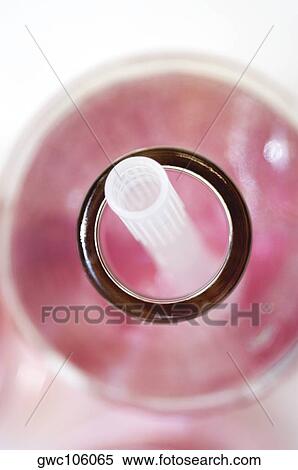 High angle view of a bottle View Large Photo Image Stock Photography - High angle view of a bottle. Fotosearch