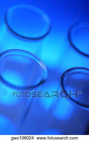 High angle view of test tubes in a test tube rack View Large Photo Image Picture - High angle view of test tubes in a test tube rack. Fotosearch