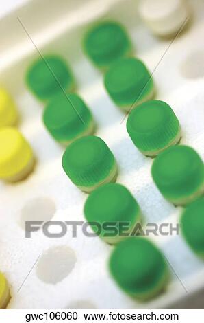 High angle view of vials in a rack View Large Photo Image Stock Image - High angle view of vials in a rack. Fotosearch