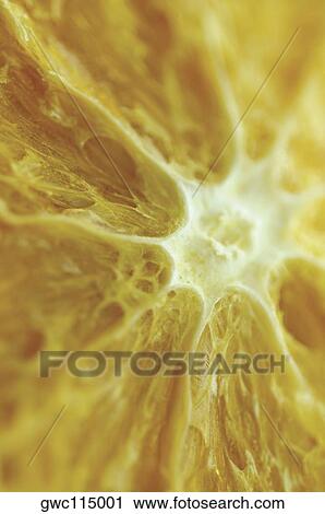 Close-up of a dried lemon slice View Large Photo Image Stock Image - Close-up of a dried lemon slice. Fotosearch