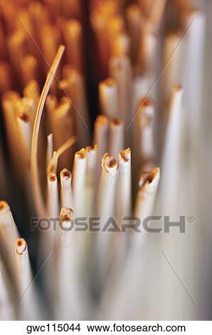 Close-up of dried sticks View Large Photo Image Picture - Close-up of dried sticks. Fotosearch